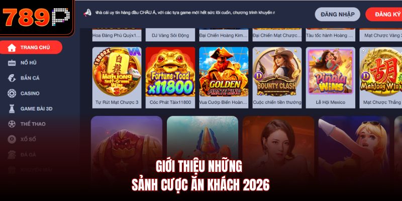 Giới thiệu những sảnh cược ăn khách 2026