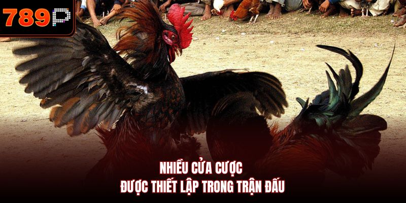Nhiều cửa cược được thiết lập trong trận đấu
