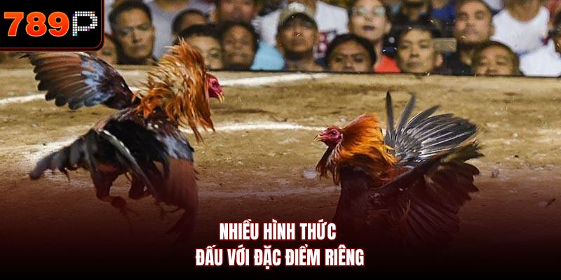 Nhiều hình thức đấu với đặc điểm riêng