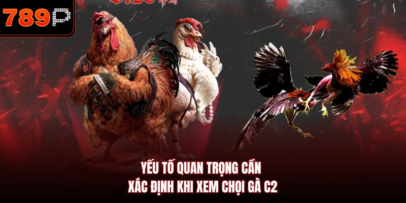 Yếu tố quan trọng cần xác định khi xem chọi gà C2